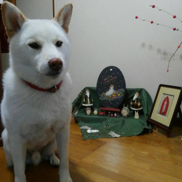 35513e62 f072 4931 8ce2 324ba335c56d 1514187359121