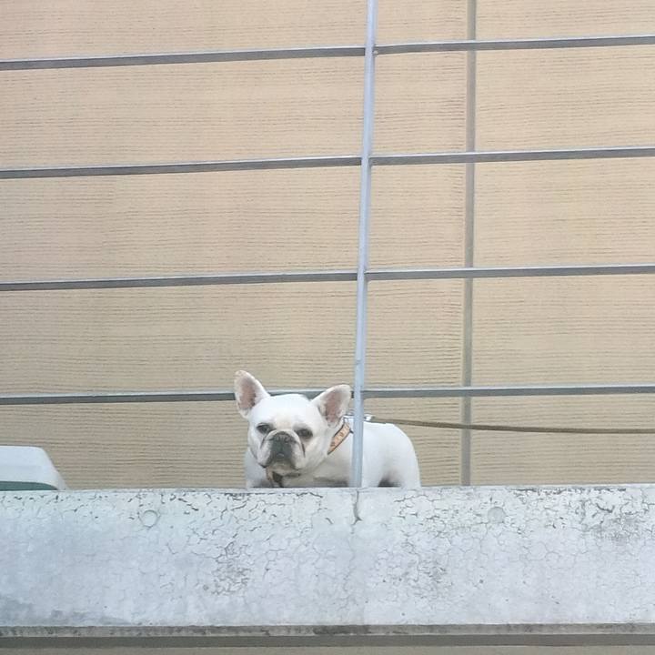 355184d5 f30c 454d 8104 3bce727aa698 1687041504961