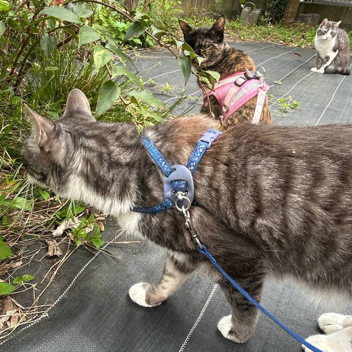 3551933d 48b7 49e0 aa9e 1a58de0fd18f 1776071759400