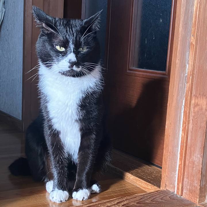 3551bc76 1a97 47f9 8bcc 861134d8b426 1687749328633