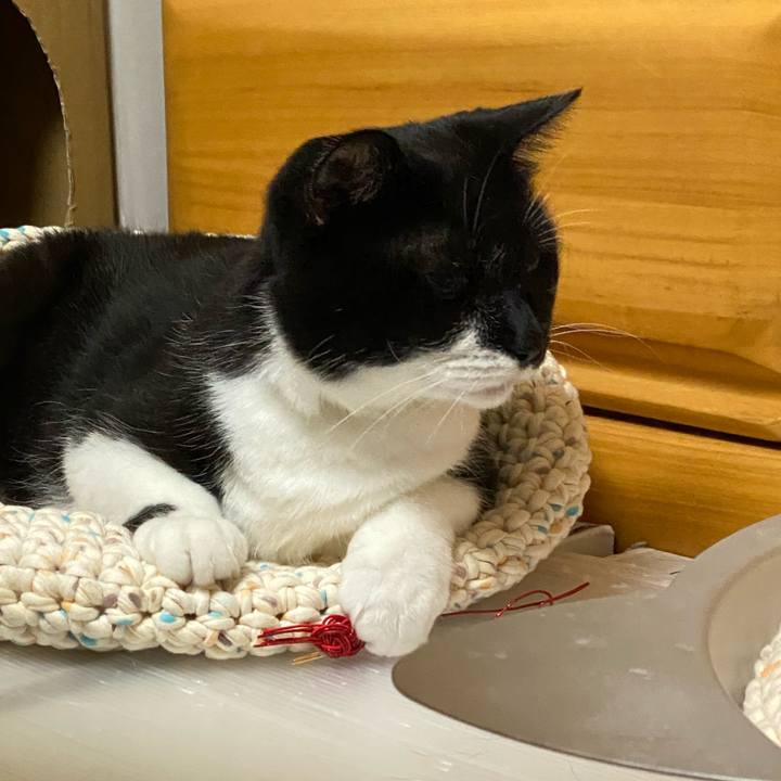 3551cbe3 e52f 4f35 8fb9 6729b67512c8 1627447551837