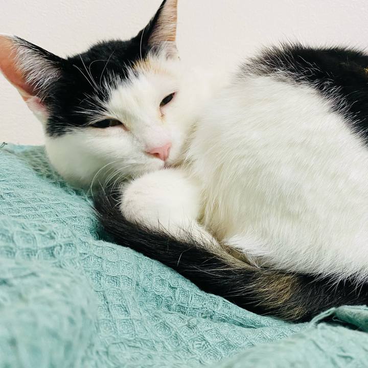 3551e69c 3b6a 4f55 a364 9034c0b89b3a 1680274533848