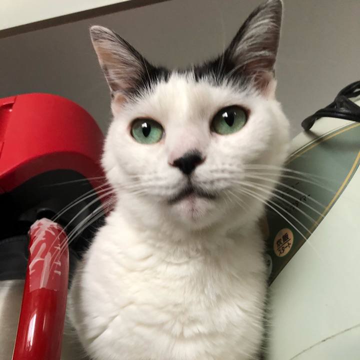 3551f0b4 c094 4651 bafe c661e372f728 1600731855847