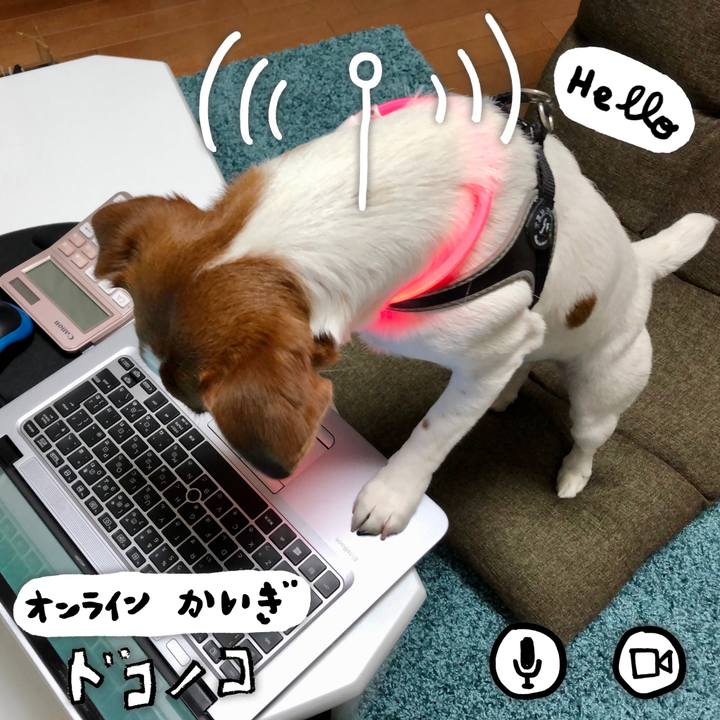 3551fa6a 45db 4593 b304 23986a950e64 1590784462559