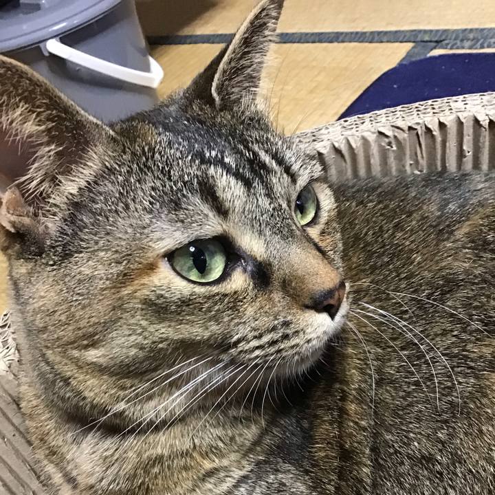 3552004b 6ed5 4233 ba93 ba72b7b05b9f 1705717945504