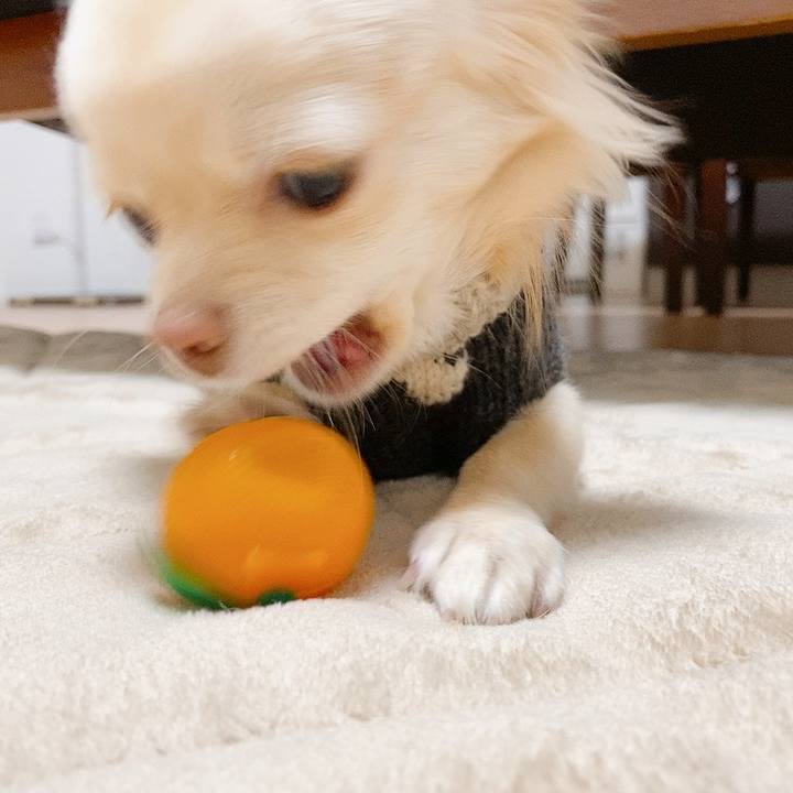 355200e3 c396 452b ba1d 635b0e83f7d6 1610722215932