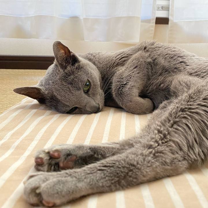 3552297b 7cc7 4a12 9f61 b77f285bea47 1589407001448