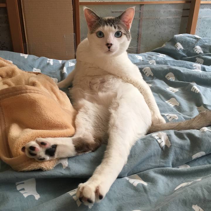 35522bc8 18ae 45b6 95ac 1843e758db71 1557626513504