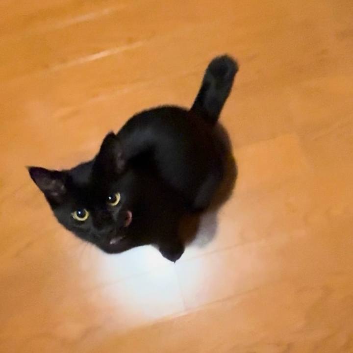 35522d91 8179 470a 9498 489cebfb9c15 1731474744684