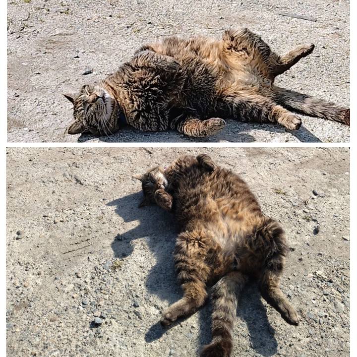 35527209 ff61 48e3 a7fb 988a3b4846bf 1746087125304