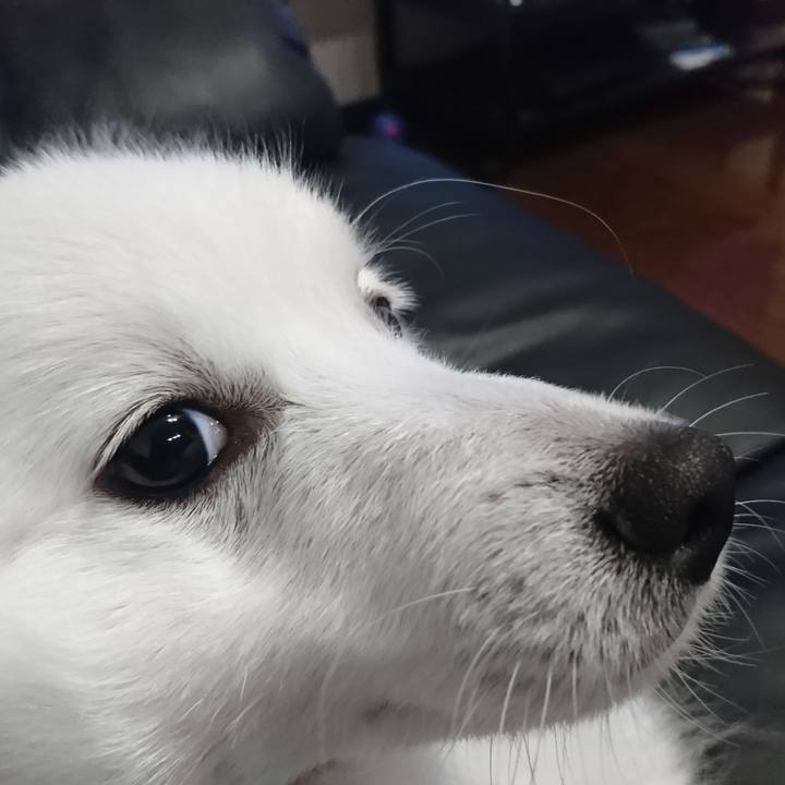 3552c6b5 b8b3 480b b67e df97eb404ff4 1556032369195