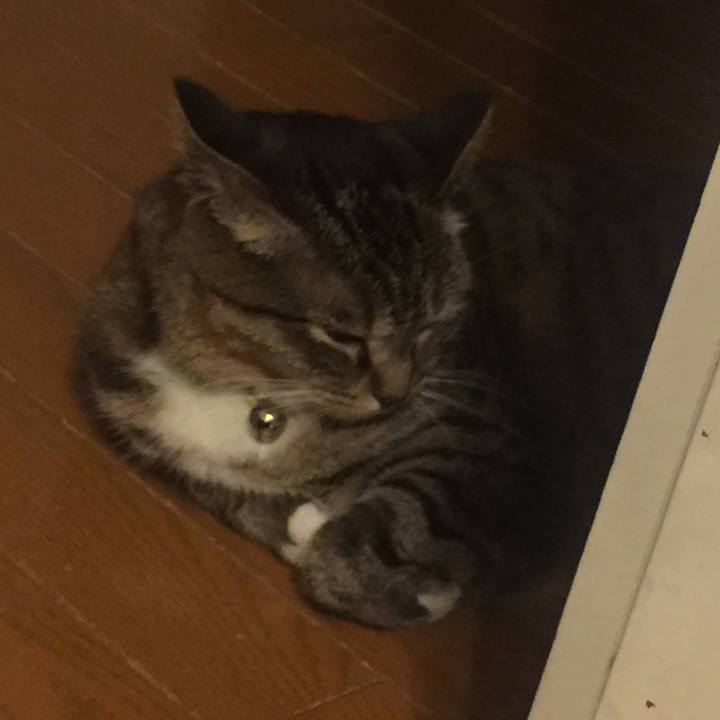 3552daae f32f 47b5 beaf 5d6115f45e8c 1563985042238