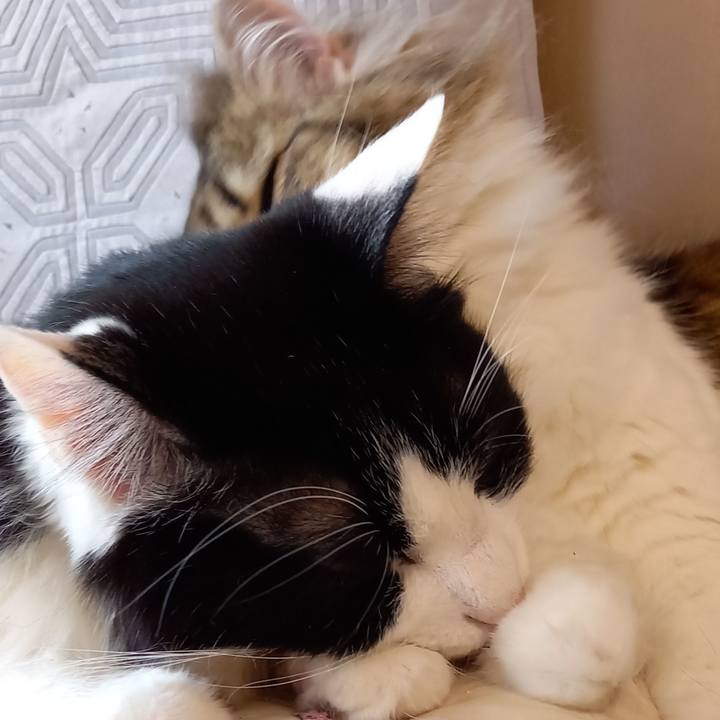 3552e33e 2c78 42c1 b00f 50bf9d385b4a 1616592459781