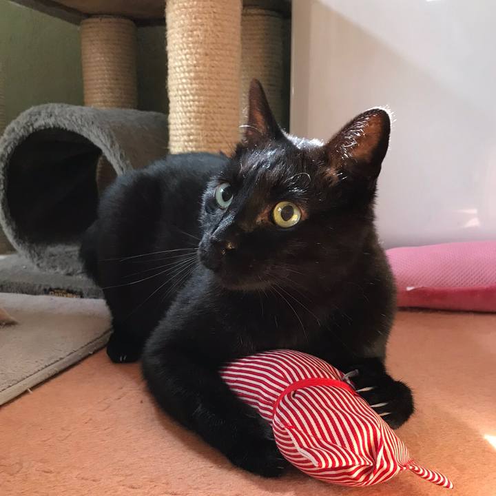 3552ec1a 50af 4080 aa4c bc4de41e1d2f 1523841213230