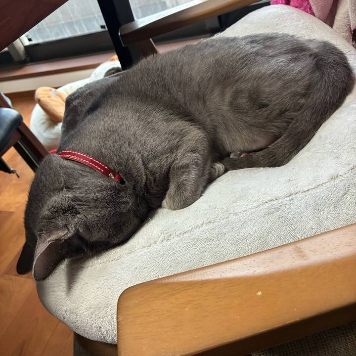 3552fd16 7448 4ca7 8978 62a257458008 1774596773633