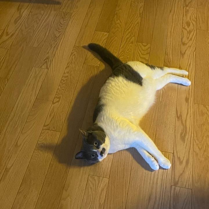 35534203 adff 4b5b 842f dc38e3d7808a 1688335853508