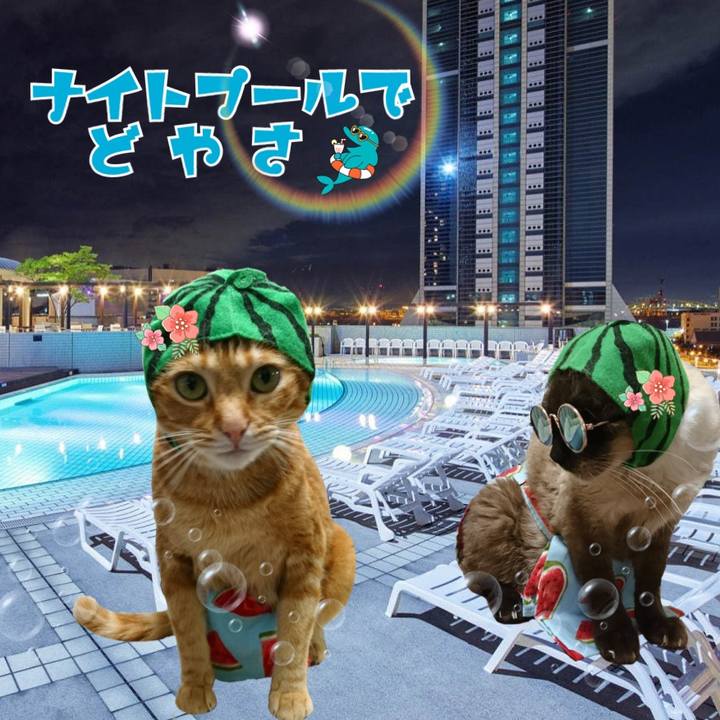 355351f5 6a0c 4331 8862 526cab66ea3e 1565606956758