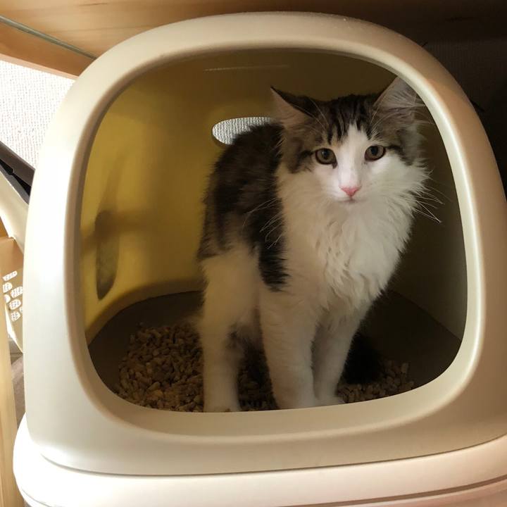 35535ea7 30a1 4628 bd40 935144209222 1520572130768