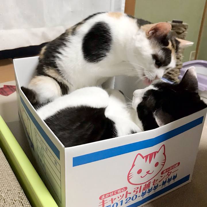 35536a02 8bdc 454e a151 4cdfa94ce0af 1537369096058