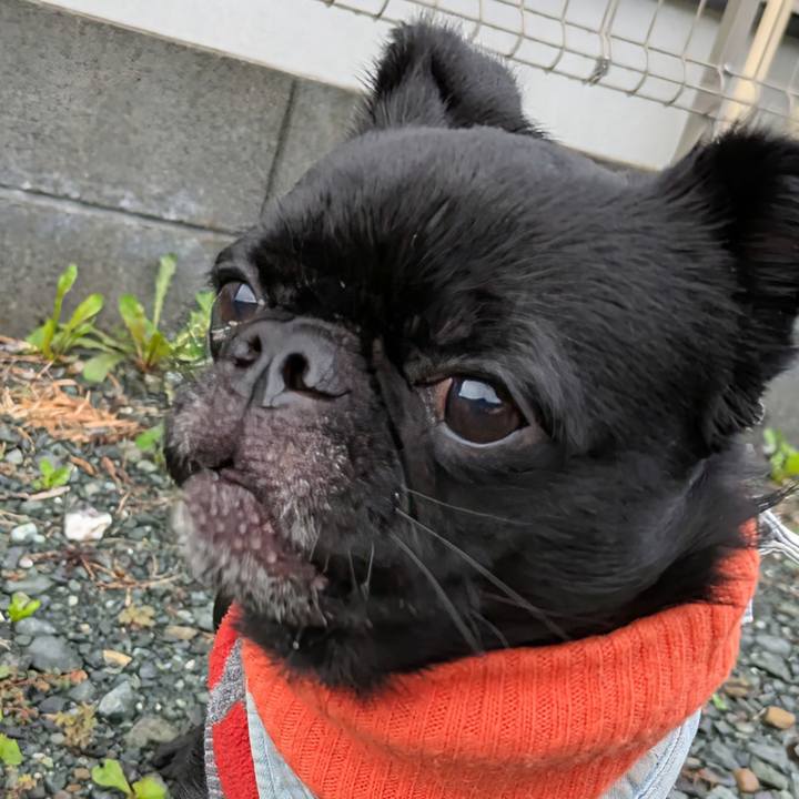 35539c4a 914d 40d6 849a cbb5b7e7fb4d 1761347013938