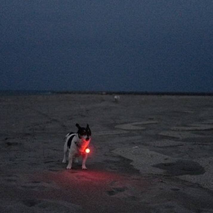 3553c7cb e410 4130 b939 7e65b8a34f76 1512015651297