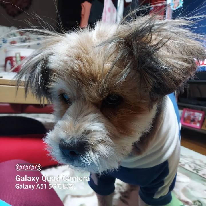 3553d3e8 f51a 477e ba1b 87cbe5186353 1674647878789