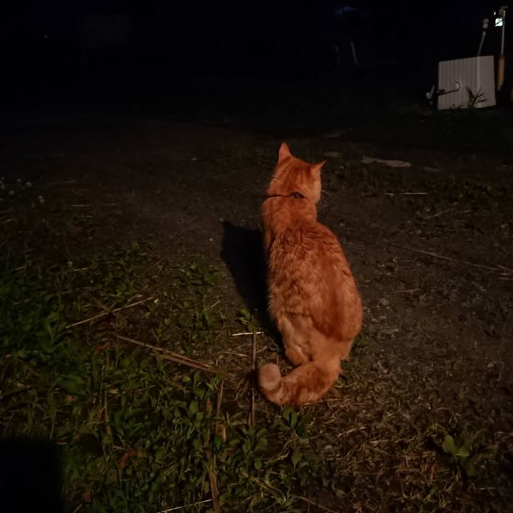 3553f679 5052 4cb0 850b e7754bf82379 1656415320513