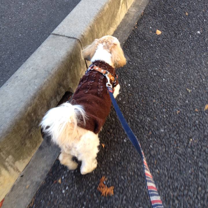 3553fa6f cd54 40de b9d8 c46a5d5a43d6 1512077720040