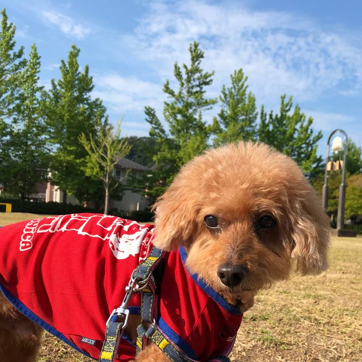 35540151 b199 41c2 b9ed af7595ea34c4 1626834721558