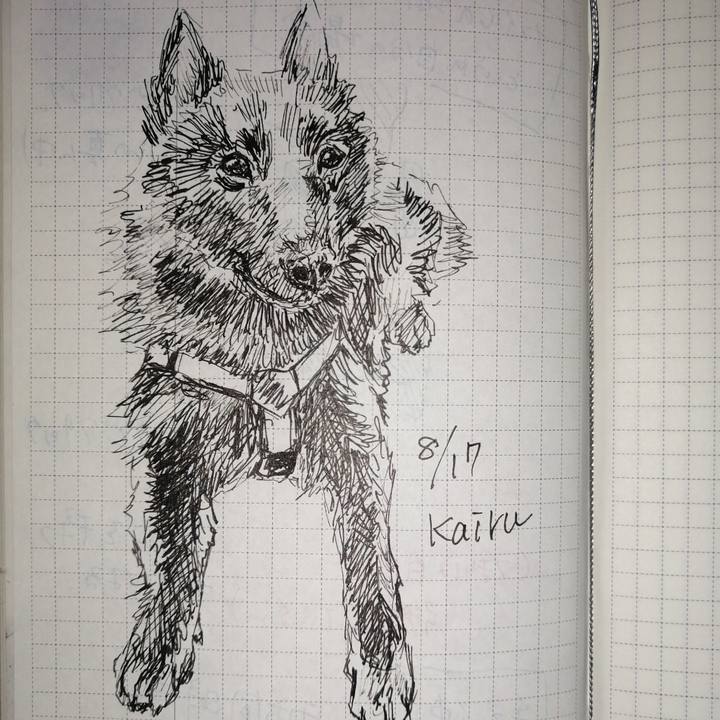 35540756 6655 4a64 a6c8 1341bacb71ee 1660688562310