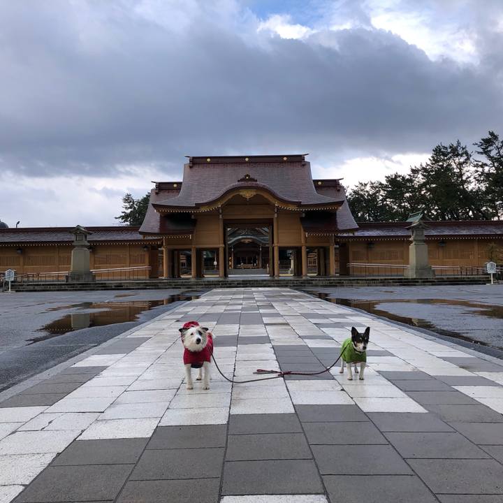 35542862 0636 41ae bc9f 8f1ee2bbd54e 1554333863283