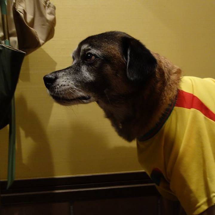 35545e99 a8bf 4348 8703 73fd1f5df0ab 1509792465835