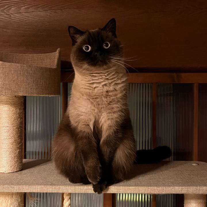 35546a26 2cb2 45a4 8178 0784bf02d50f 1672390724540