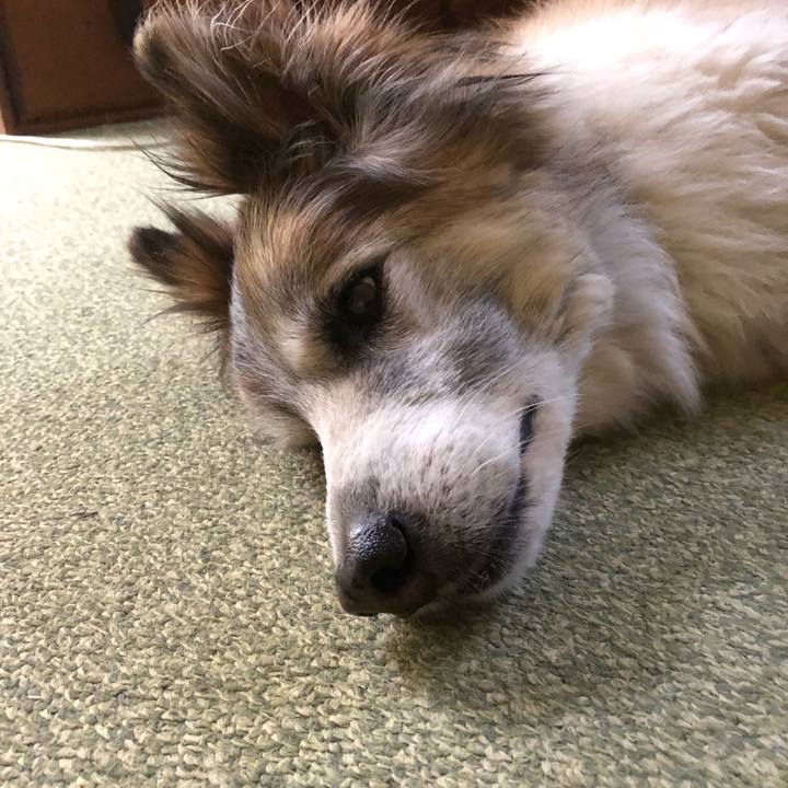 35549e91 9e97 4d98 a0d4 48e3423fe3af 1531183855470