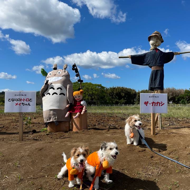 3554ab87 0493 450e 8652 fc52bc6461fc 1760702603494