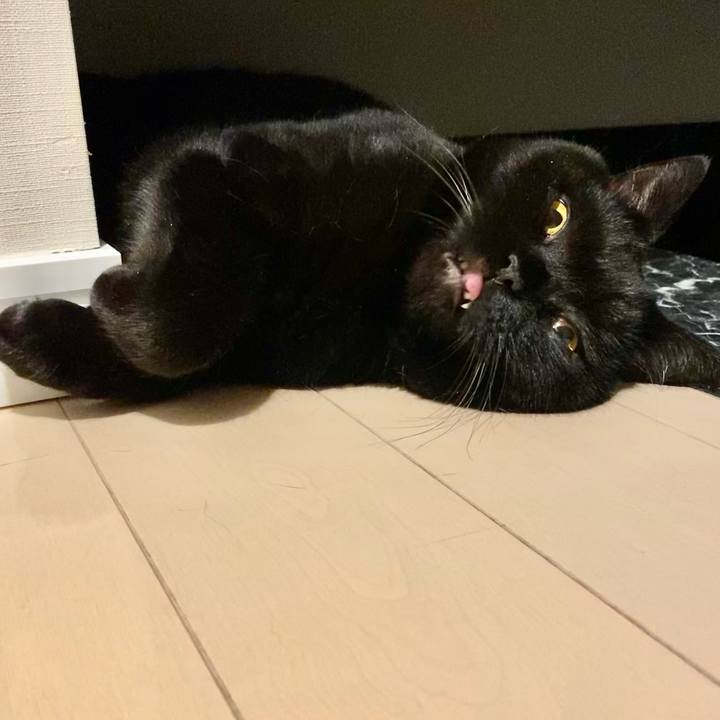 3554b96f e190 4ba6 89b4 20ed34aa6fe7 1663420070857