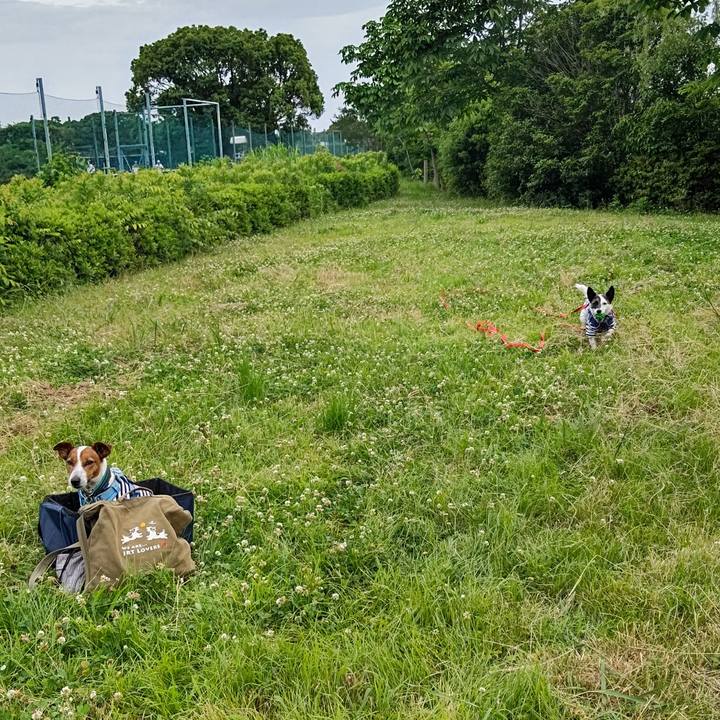 3554be18 a87a 4d81 9542 3eb9668efb23 1685305761078