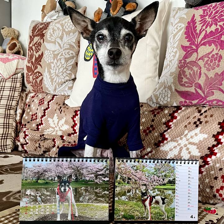 3554d5bb 82fd 4069 8ef8 37ffd83ef37a 1649109809369