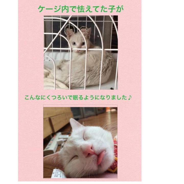 3554d80d 0d53 40b8 a1df d99724bb7d07 1658017853649