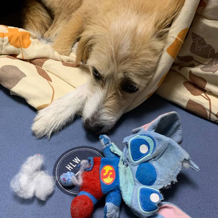 35551d0b 4833 401a 8789 28bdf9386818 1572945363669