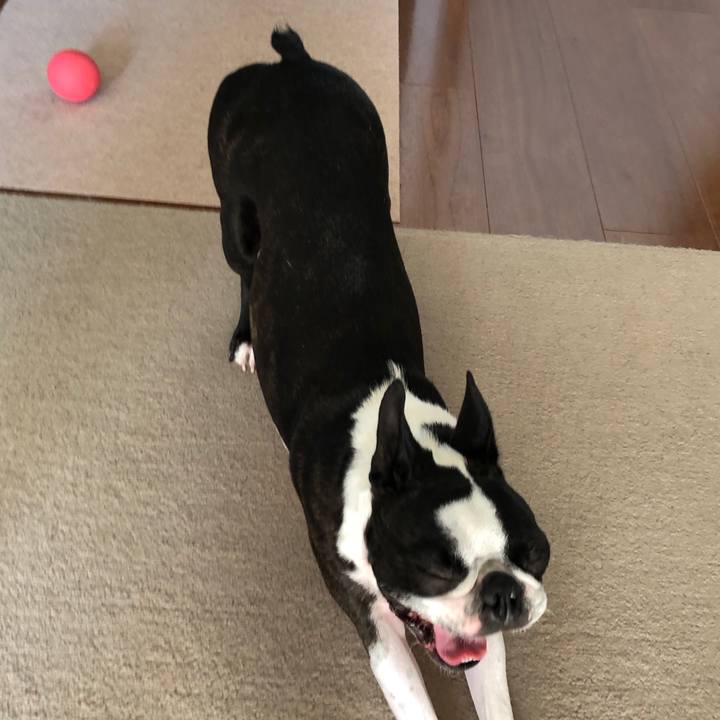 3555414d a612 4f91 b0a2 d22a0b100484 1638704093111