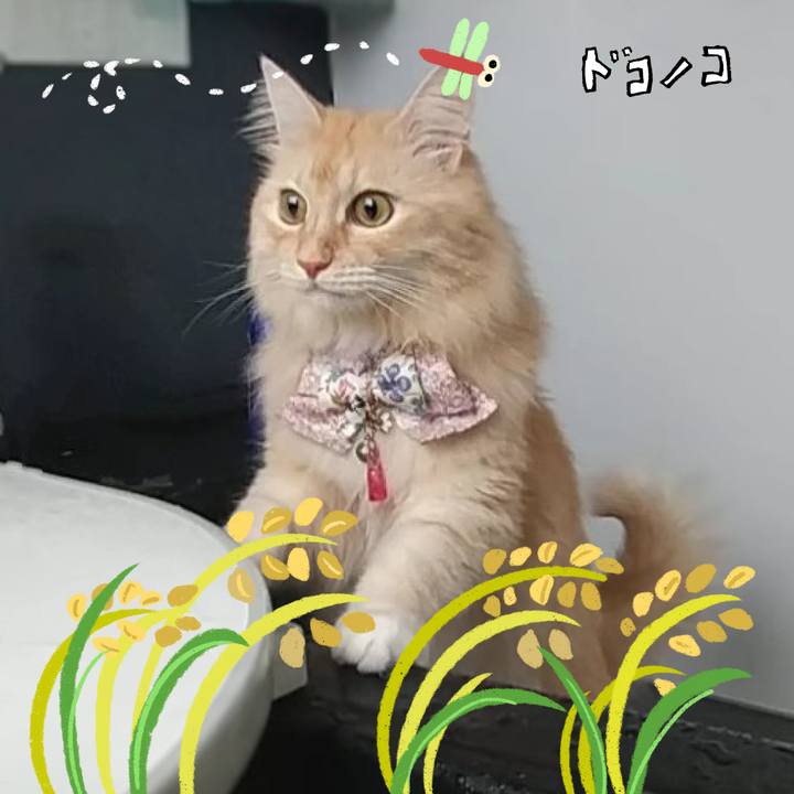 35554638 7073 4960 87f6 94dea17bd0e0 1761102952157