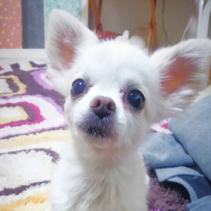 35556d88 01ac 4054 86ee 8e45f9701aaf 1556144766895