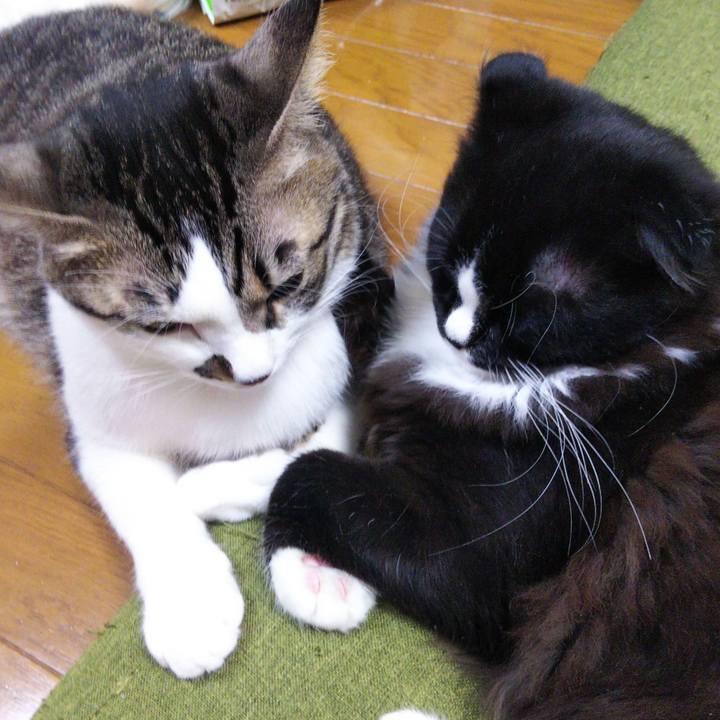 3555d9cf 3ce9 43e8 af85 1948865a1166 1645006734947