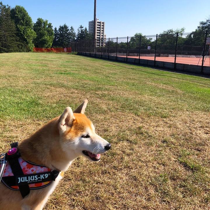 3555fdde b0c5 4f34 944d 4e5e768be88d 1598491513075