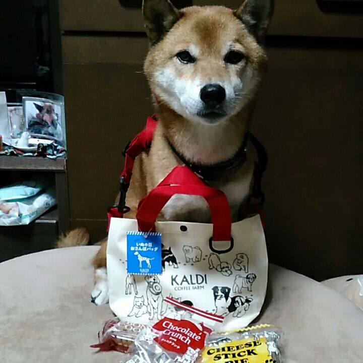 3556082e 7c53 4859 9663 b2042e8ca3cb 1572597649185