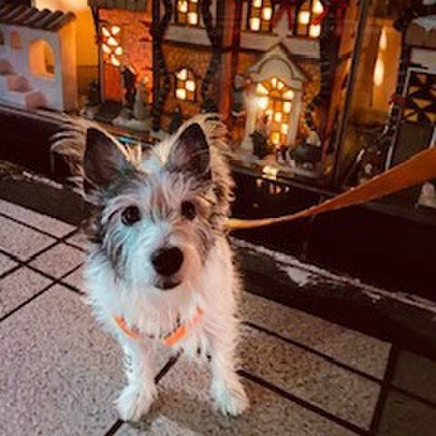 35563449 b2e9 4e3d 8998 ca362ca2dce2 1576209131898