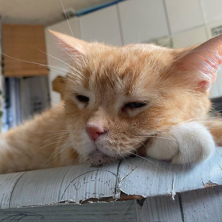 3556bbaf dbc8 4796 af14 16c8b35f31cc 1632351278602