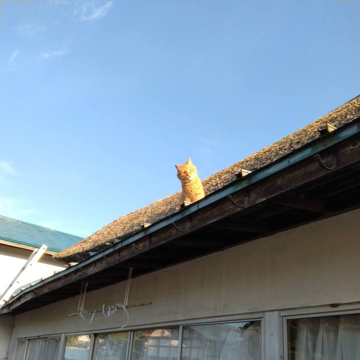 3556e44f 55bd 4de3 88d4 0b9d1f3358df 1690494980771