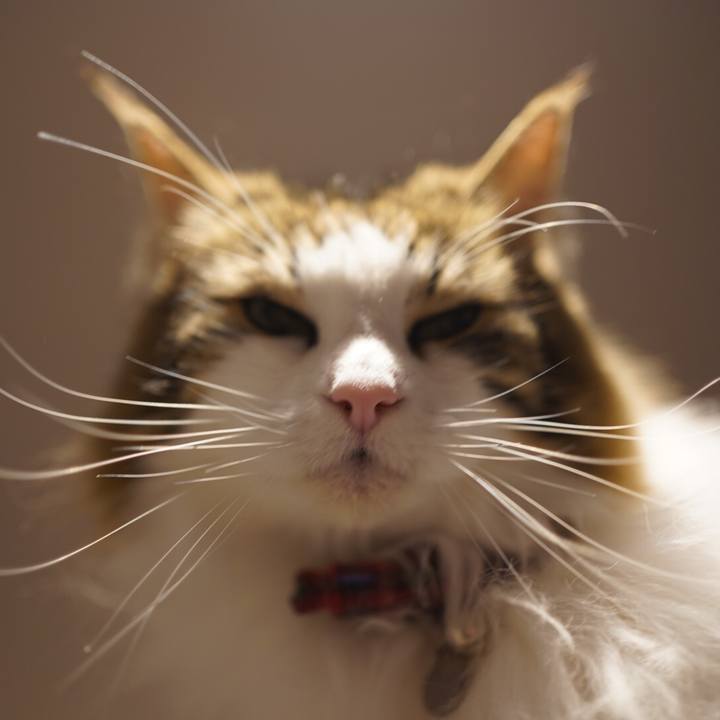 35570d78 eb02 42ee b12e 562b6012cd61 1616247627408